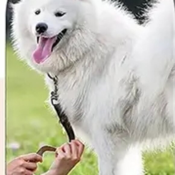 Personalized Custom Photo Necklace Pendant Dog Tag Jewelry Gift Set - Picture 3 of 3